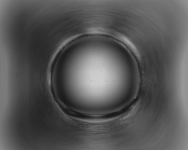 X0000094921376200712061100