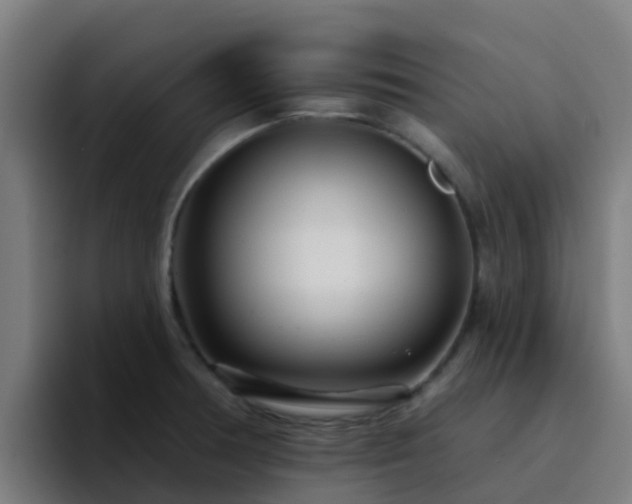 X0000094921378200712061100