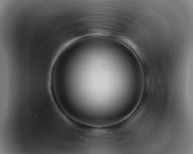 X0000094921379200712061100