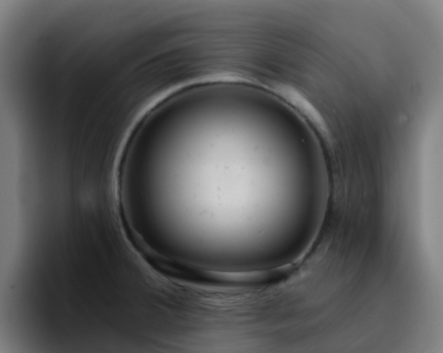 X0000094921380200712061100