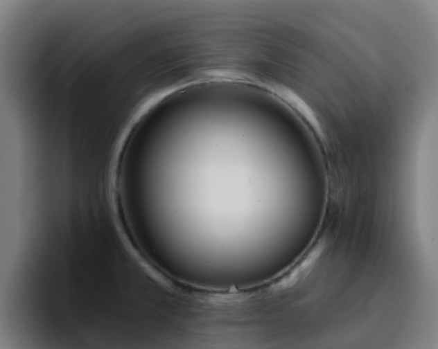 X0000094921381200712061100