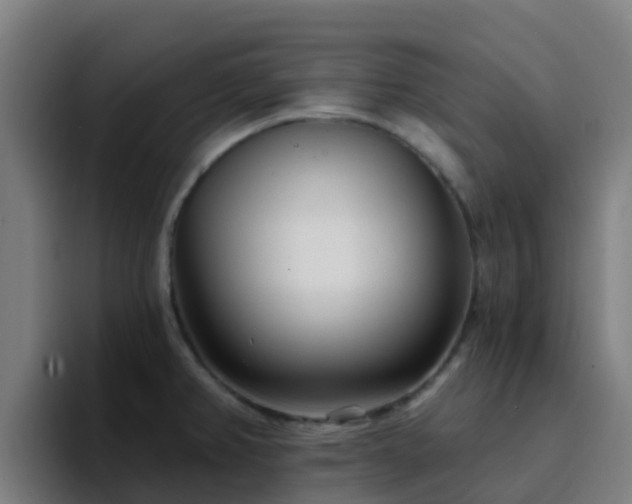 X0000094921382200712061100