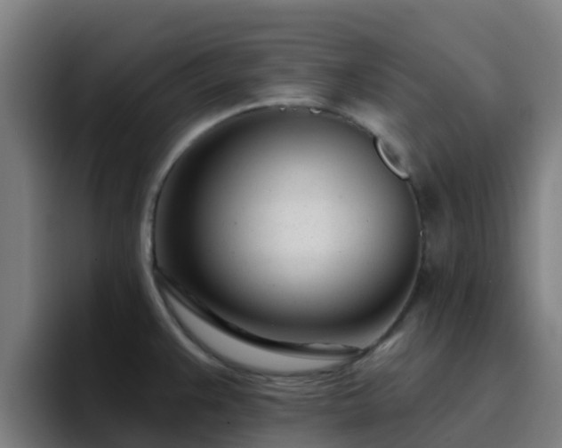 X0000094921383200712061100