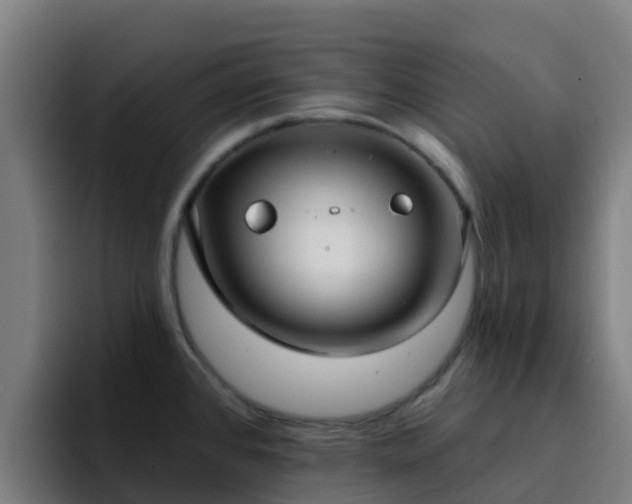 X0000094921384200712061100