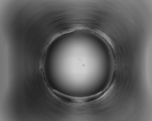 X0000094921385200712061100