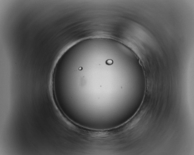 X0000094921387200712061100