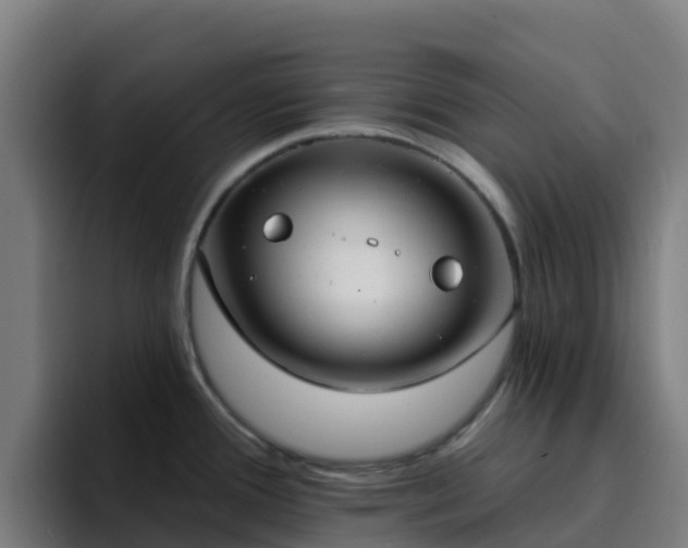 X0000094921388200712061100