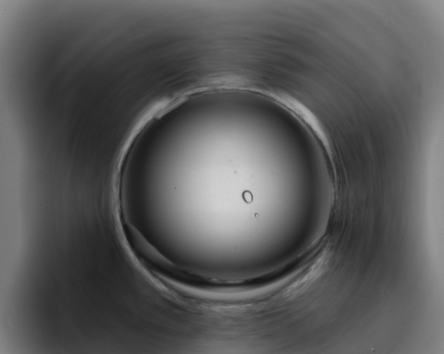 X0000094921389200712061100