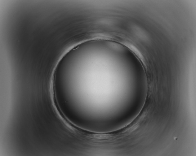 X0000094921391200712061100