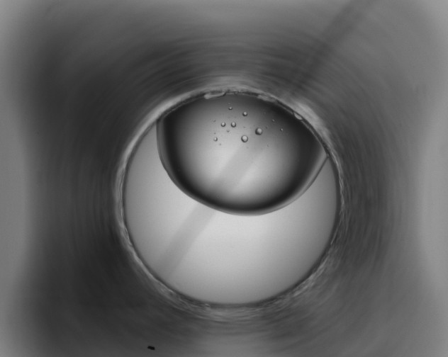 X0000094921392200712061100