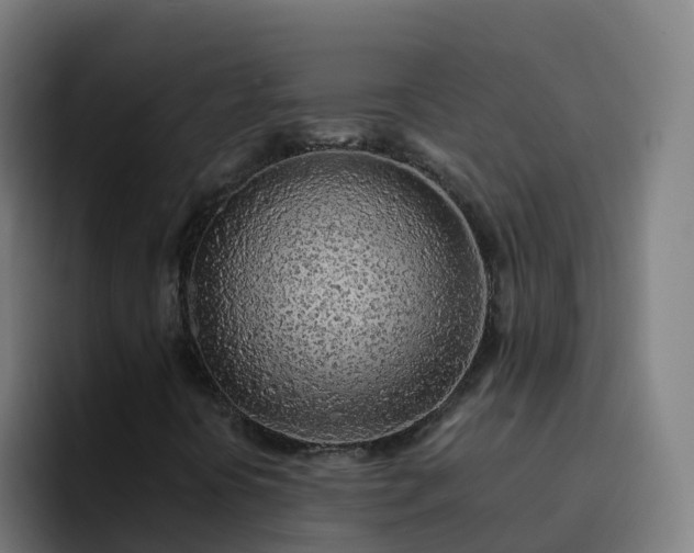 X0000094921394200712061059