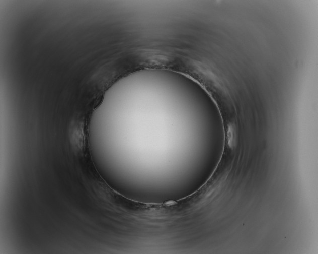 X0000094921395200712061059