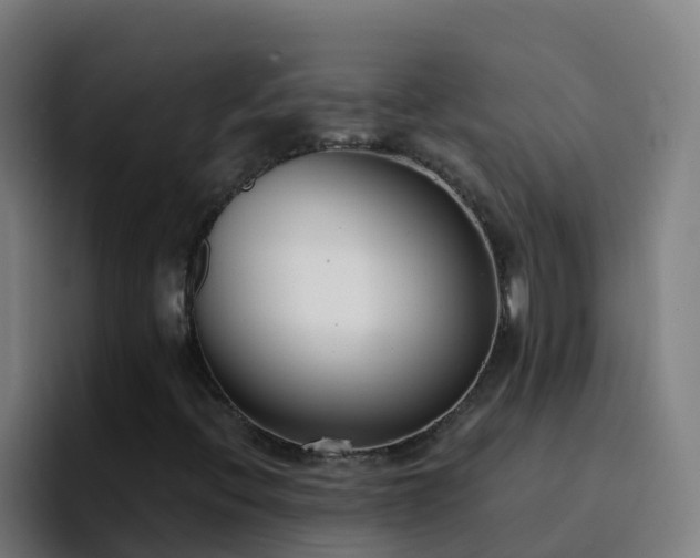 X0000094921396200712061059