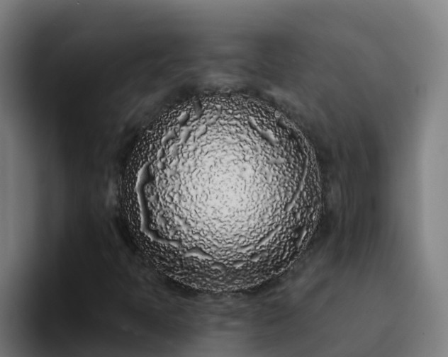 X0000094921397200712061059