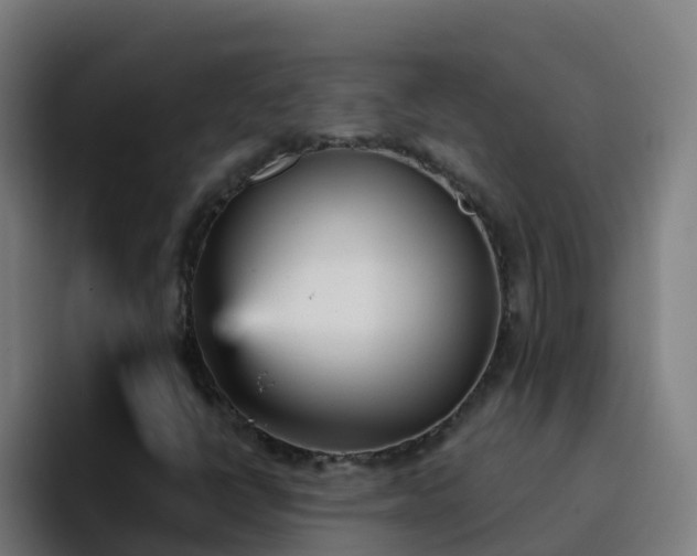 X0000094921398200712061059