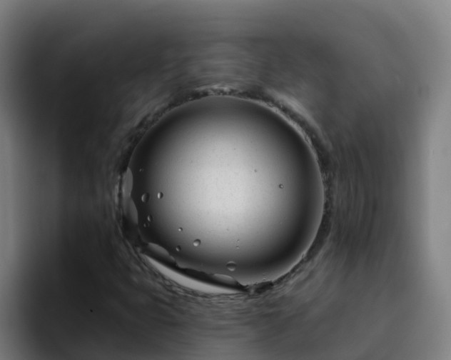 X0000094921399200712061059