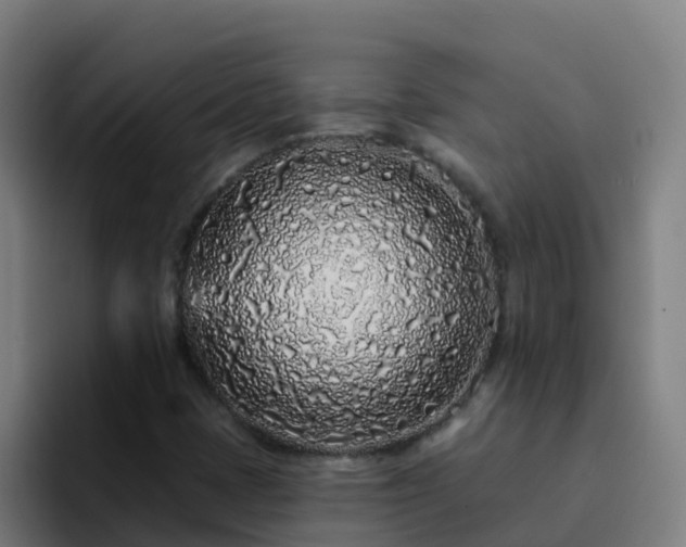 X0000094921401200712061059