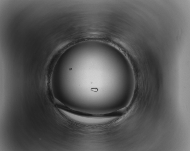 X0000094921402200712061059
