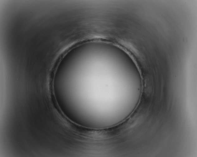 X0000094921404200712061059