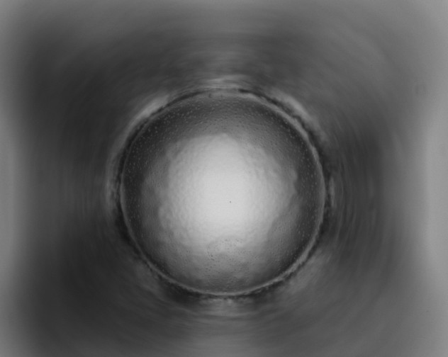 X0000094921405200712061100