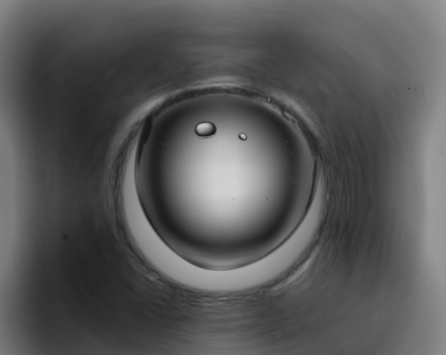 X0000094921406200712061100