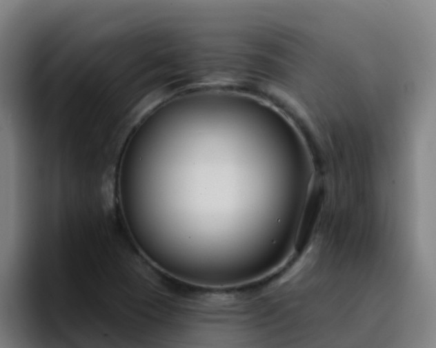 X0000094921409200712061100