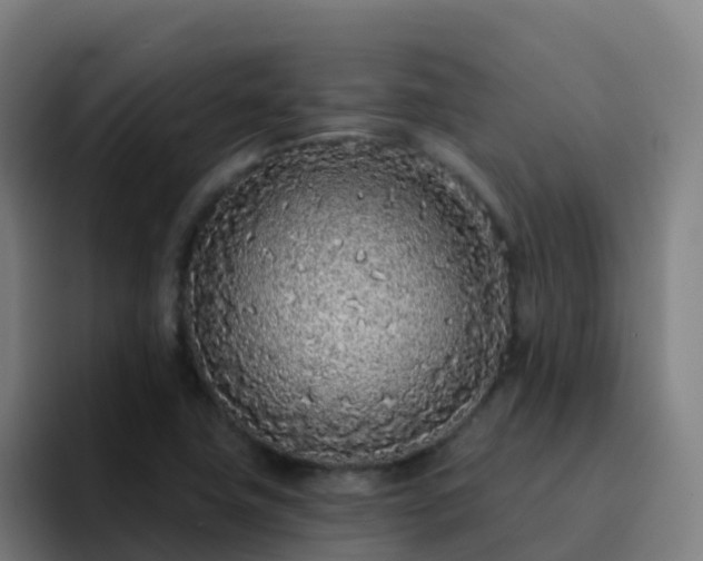 X0000094921411200712061100