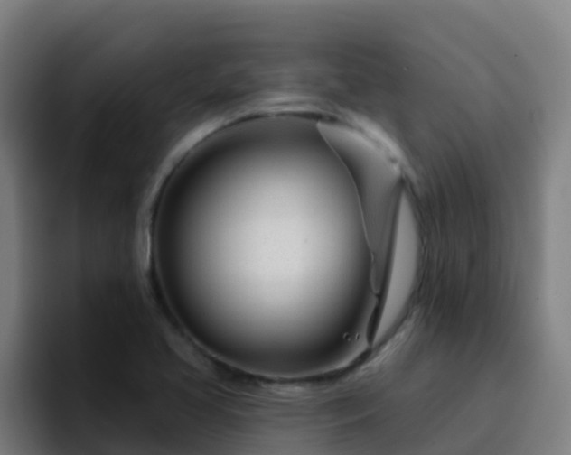 X0000094921413200712061100