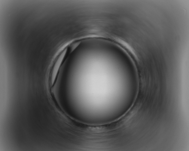 X0000094921415200712061100