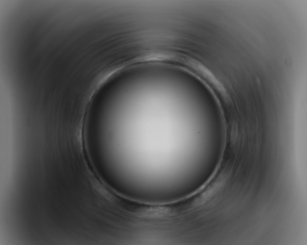 X0000094921417200712061100