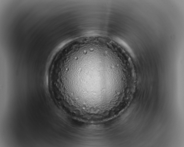 X0000094921419200712061100