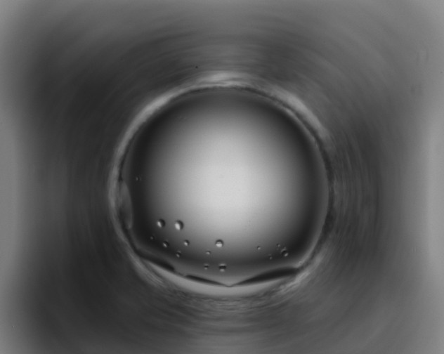 X0000094921421200712061100