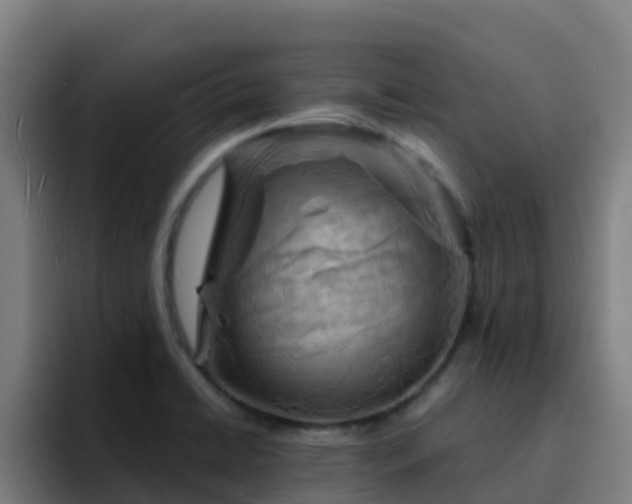 X0000094921422200712061100