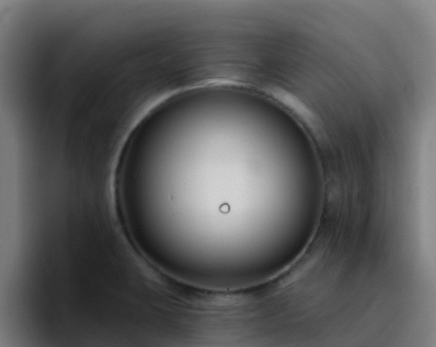 X0000094921423200712061100