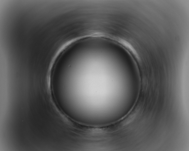 X0000094921424200712061100