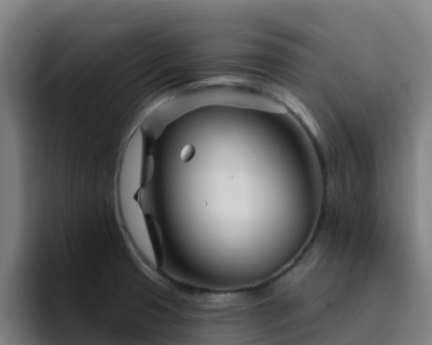 X0000094921425200712061100