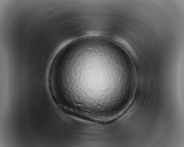X0000094921427200712061100