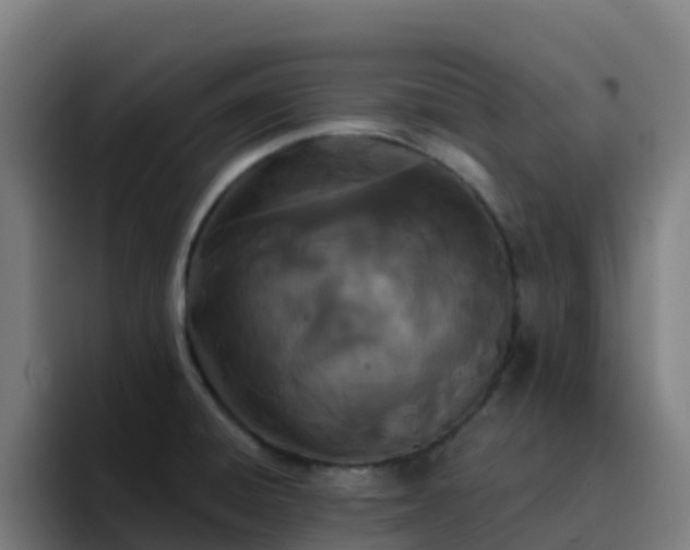 X0000094921428200712061100