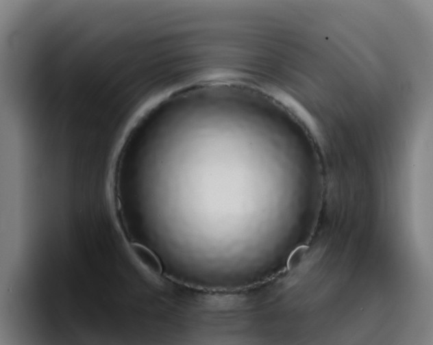 X0000094921429200712061100