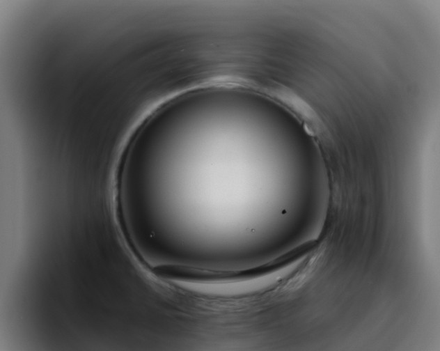 X0000094921430200712061100