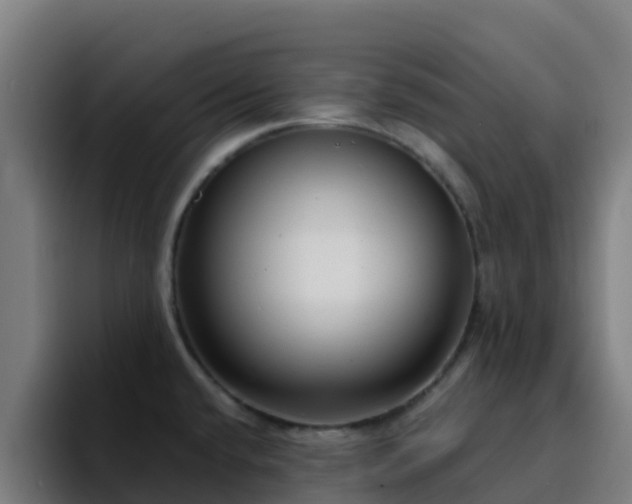 X0000094921432200712061100