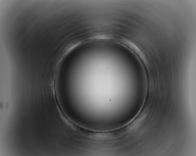 X0000094921433200712061100