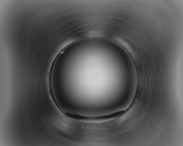 X0000094921434200712061100