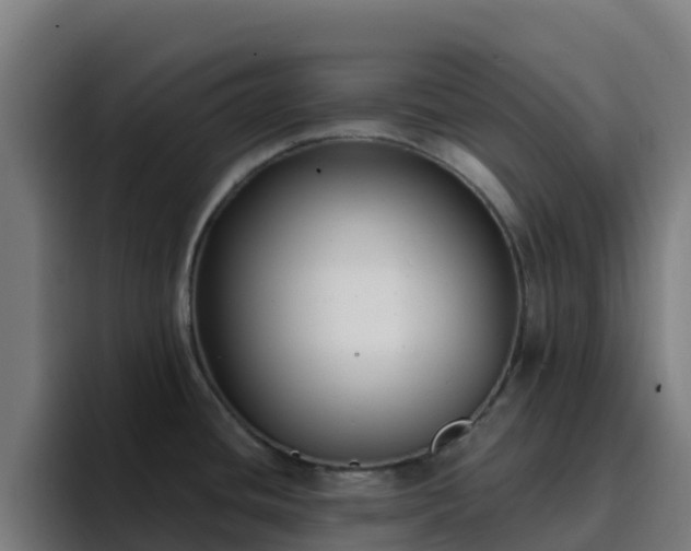 X0000094921436200712061100
