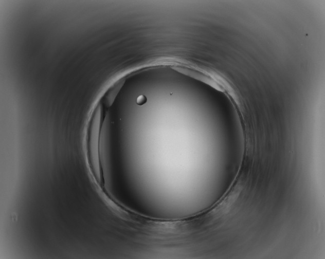 X0000094921438200712061100