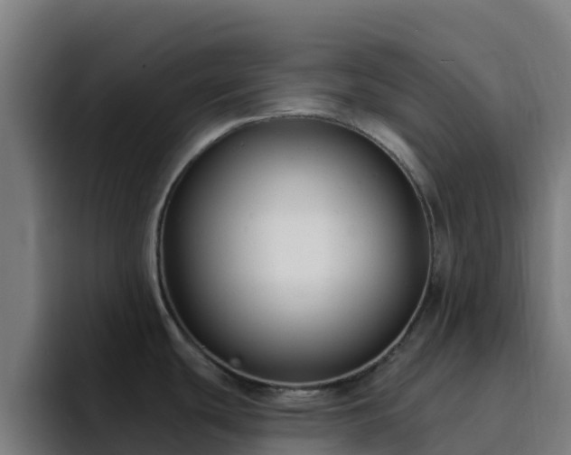X0000094921439200712061100