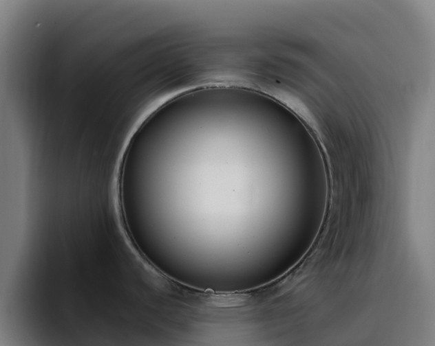 X0000094921440200712061100