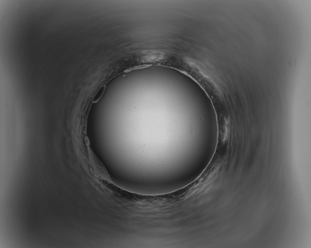 X0000094921441200712061059