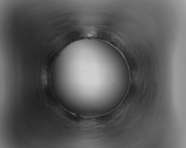 X0000094921442200712061059