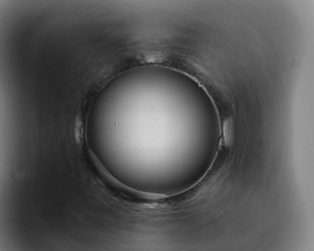 X0000094921443200712061059